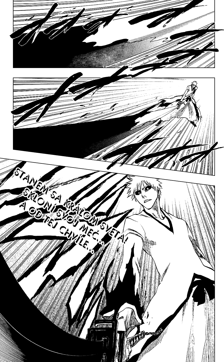 Bleach-25-07-01 kopie.jpg